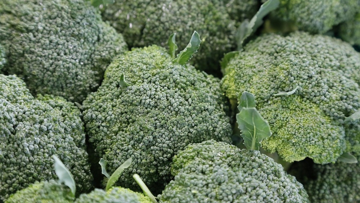 Brocoli nuevo límites legales de concetración de níquel.jpg